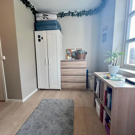 Newly Renovated With Lots Of Light!