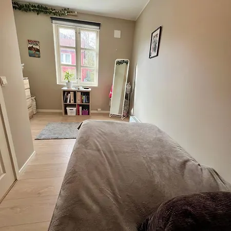 Newly Renovated With Lots Of Light! Daire