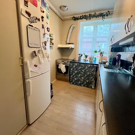 Leilighet Newly Renovated With Lots Of Light! Bergen
