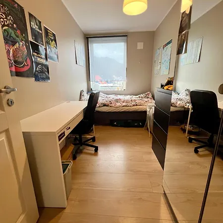 Newly Renovated With Lots Of Light!